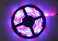 Color de luces flexible de tira de 12V los 5m RGB LED que cambia para el hogar