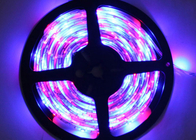 150 color llevado decorativo del RGB de la tira del LED SMD 2835, aprobaciones del CE ROHS