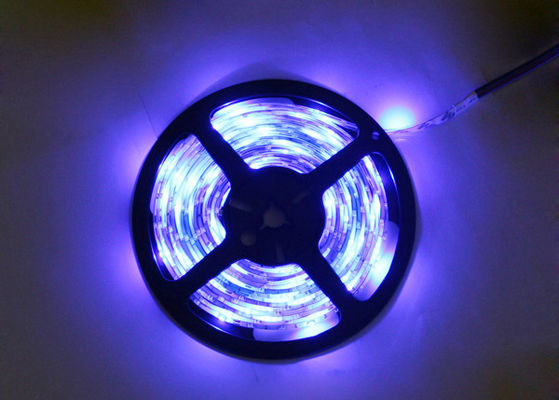 300 multicolores de las luces de tira del LED SMD 3528 RGB LED con la iluminación al aire libre de 24W IP68