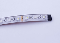 Tiras flexibles de la luz de la prenda impermeable LED de RGBW para los barcos/yate los 5M/Rolls
